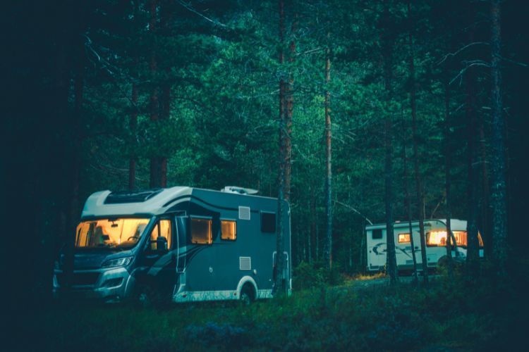 old RVs in the forest for removal