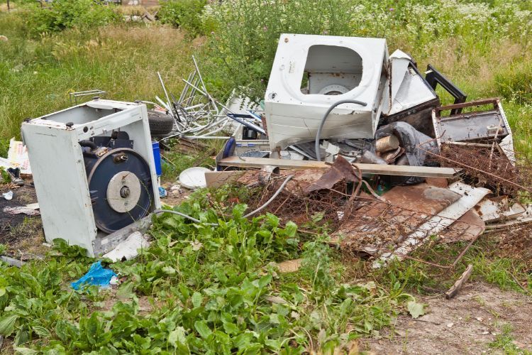 tenant junk in the yard