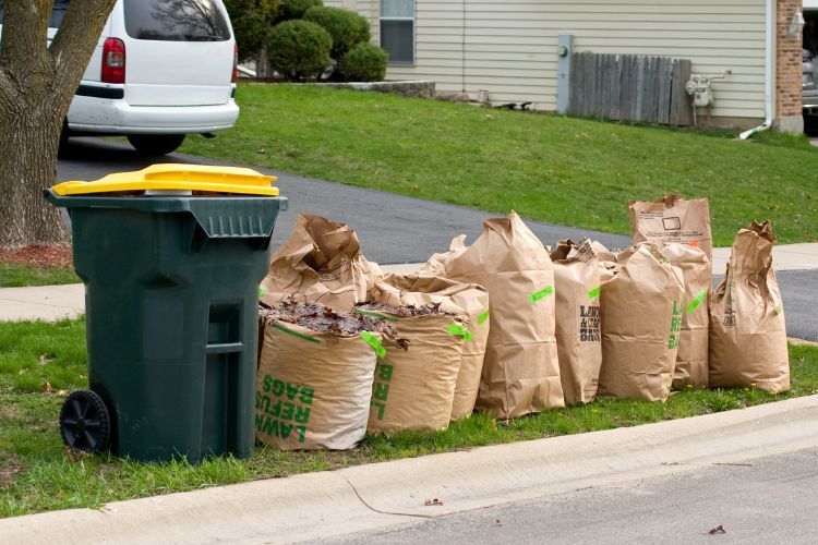 yard waste ready to be picked up by professional