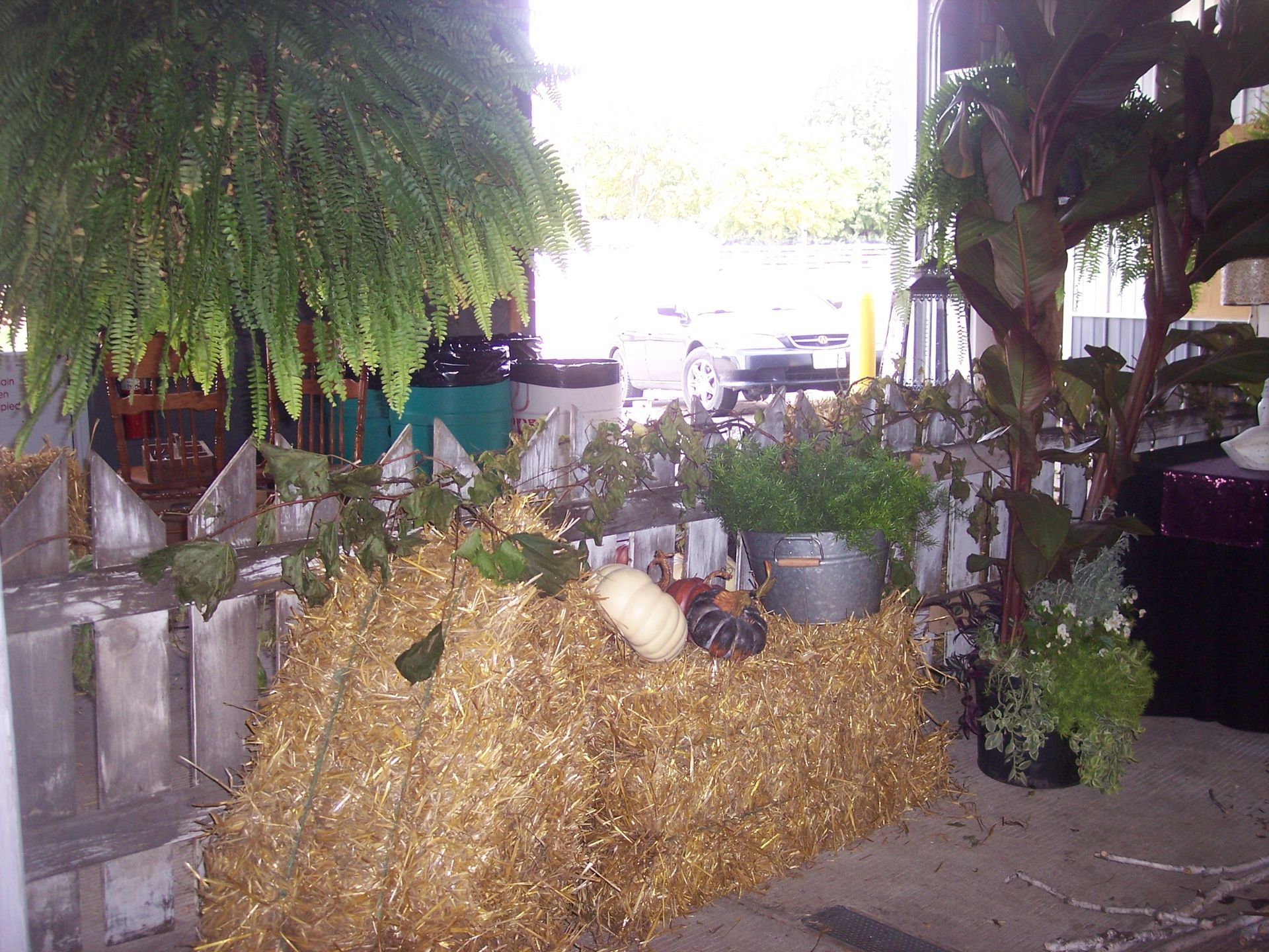 Autumn display with hay bale, pumpkins, plants, and fern against a fence.