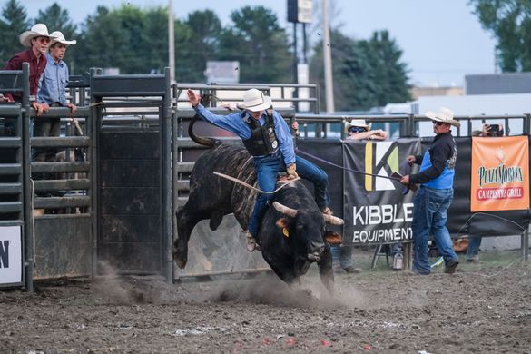 A bull rider in a blue shirt stays mounted on a bucking bull during a rodeo event in an outdoor arena.