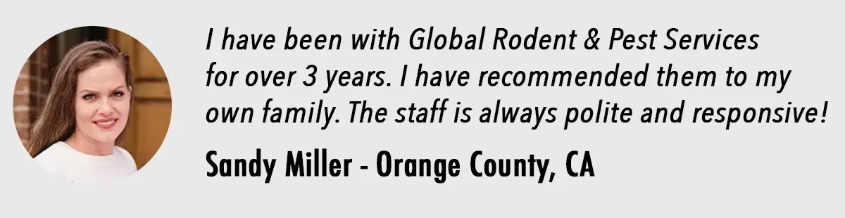 A testimonial from sandy miller in orange county ca