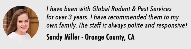 A testimonial from sandy miller in orange county ca