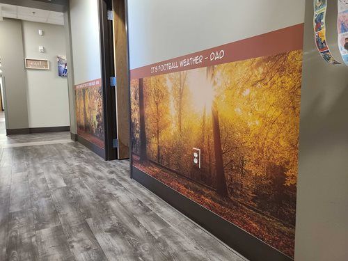 Hallway with wood-look floor, walls with nature mural and brown border, and doorways.