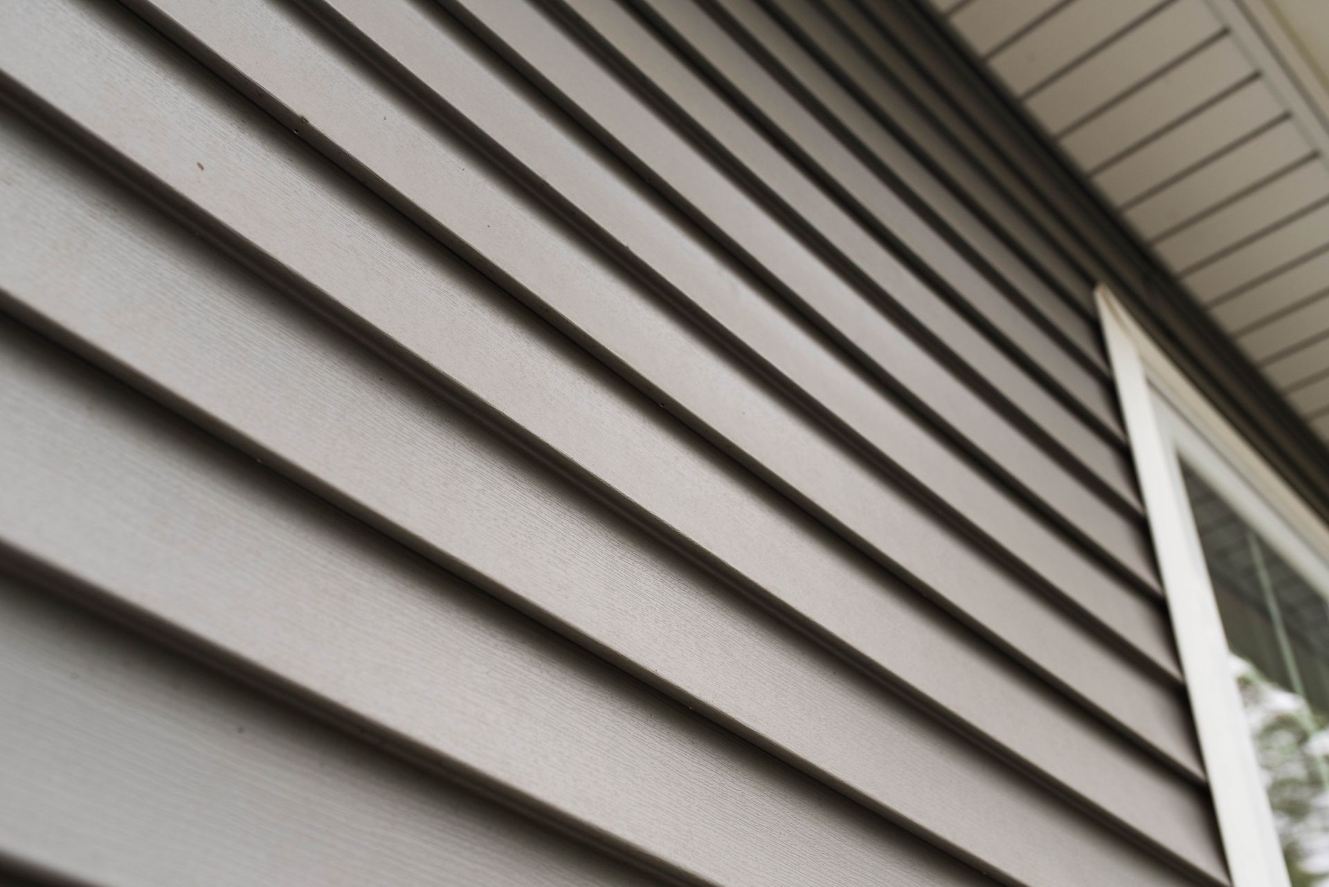 Close-up of gray house siding and a white-trimmed window on the right