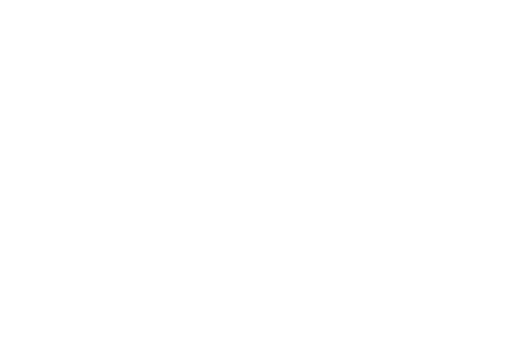 crossing bridges of the palm beaches logo