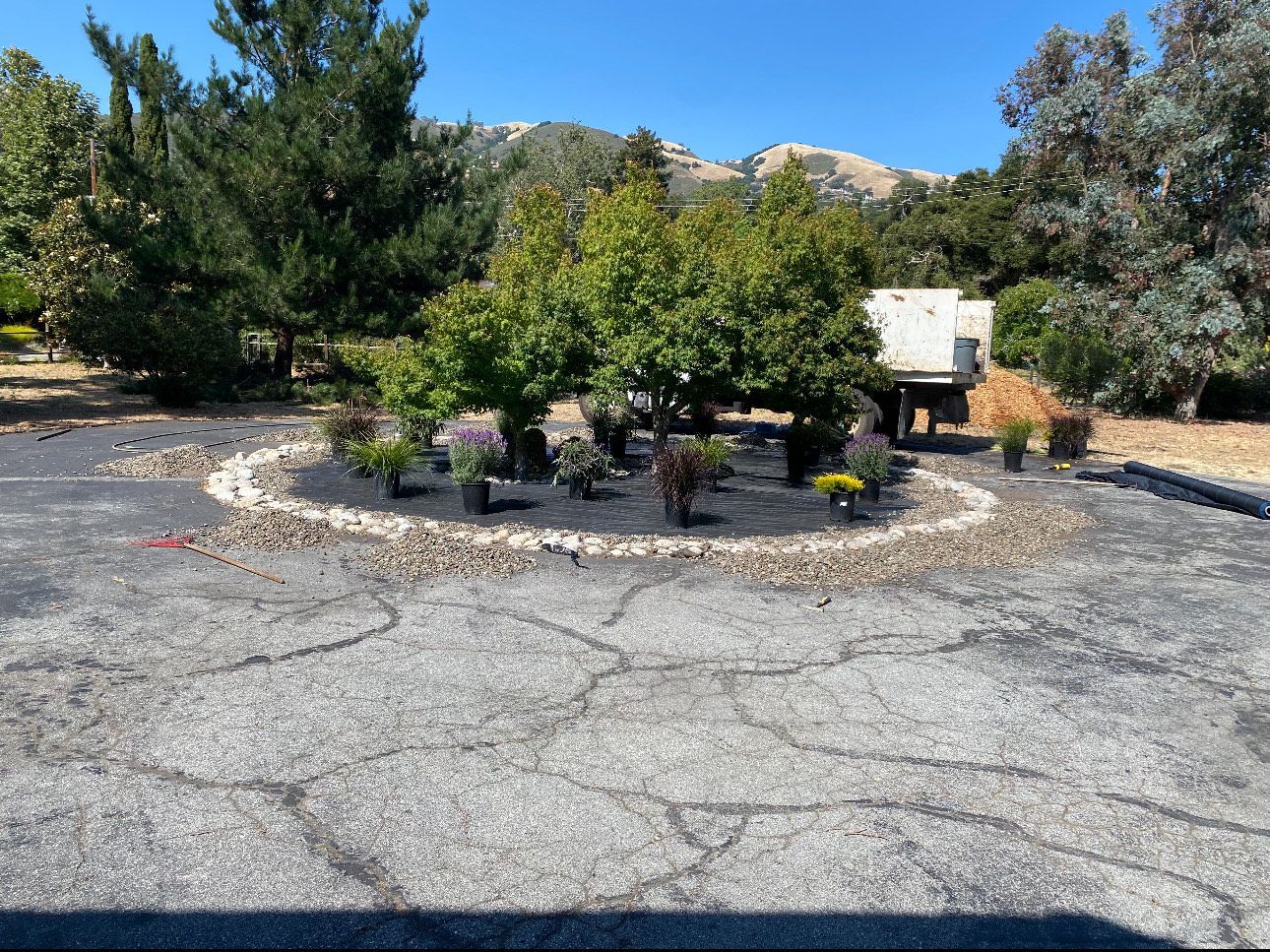 A circular garden bed with plants on cracked asphalt; mountain in the background.