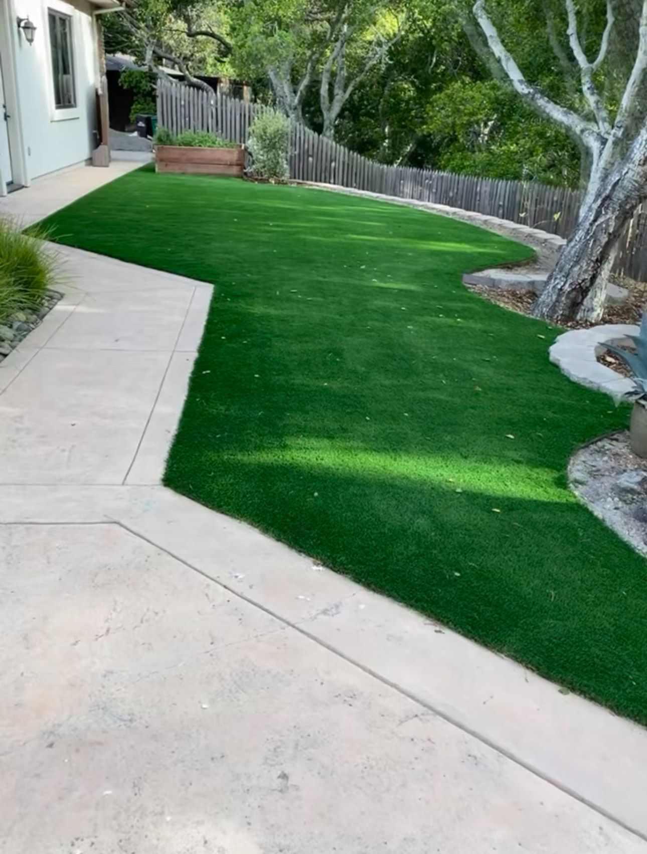 Lush green artificial lawn next to a concrete walkway and a house, bordered by trees and a fence.