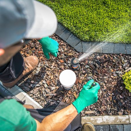 Person adjusting a sprinkler in a garden bed, wearing green gloves, near a lawn.