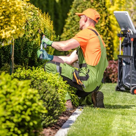 GREEN CANYON LANDSCAPING INC | A man is kneeling down in a garden cutting a bush.