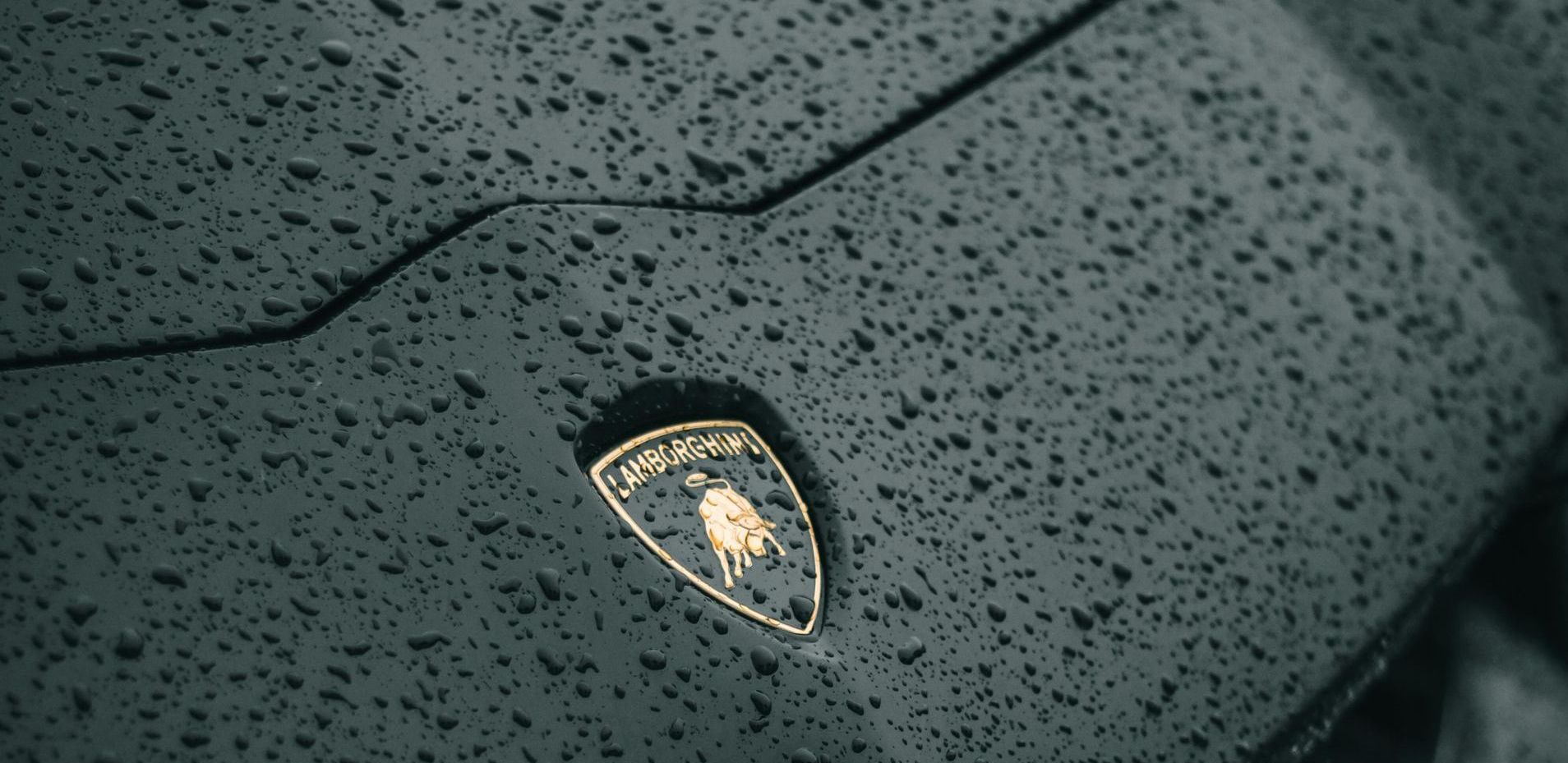 A close up of a lamborghini logo on a wet surface.
