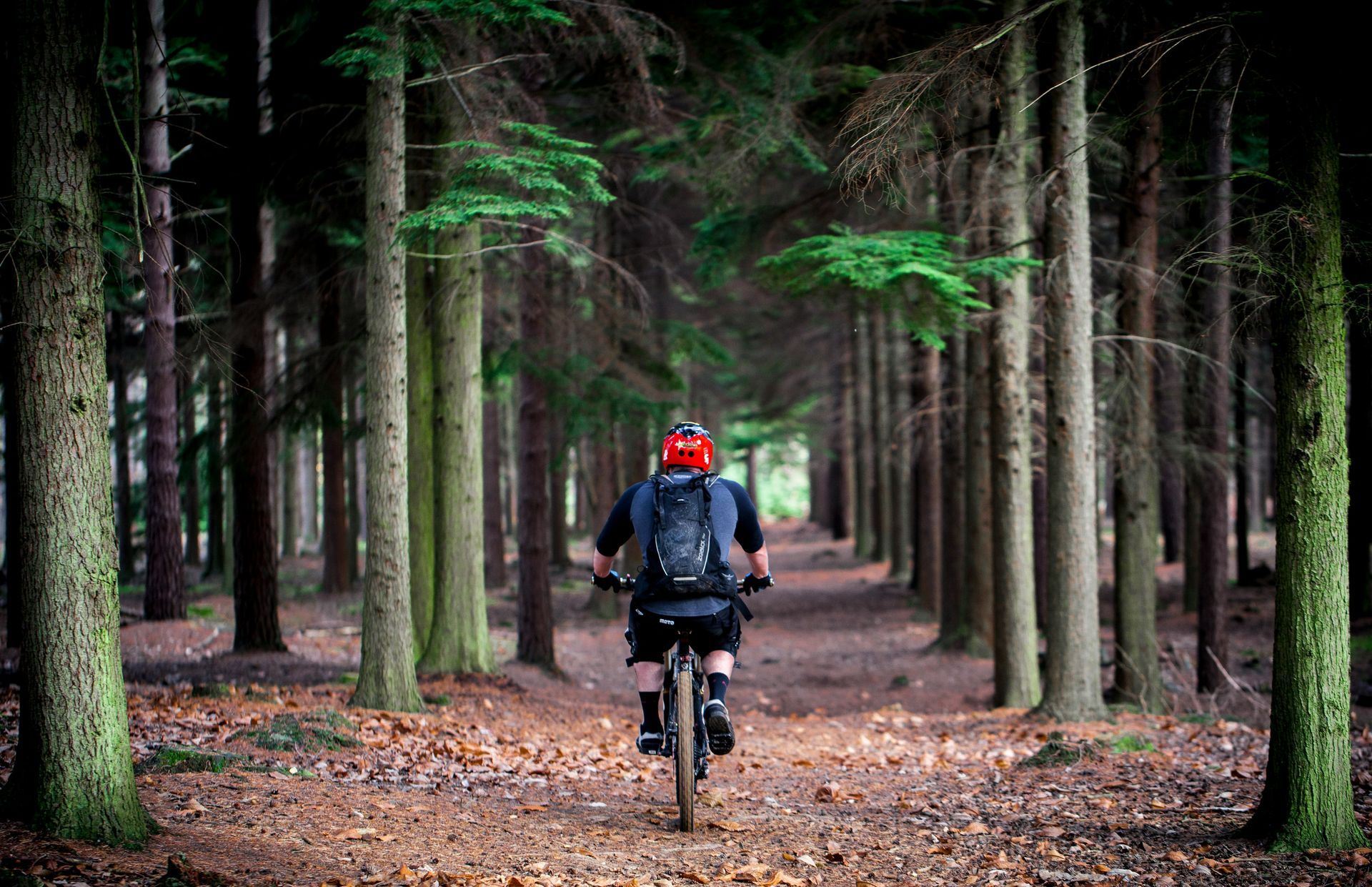 Bycycling near Blowing Rock