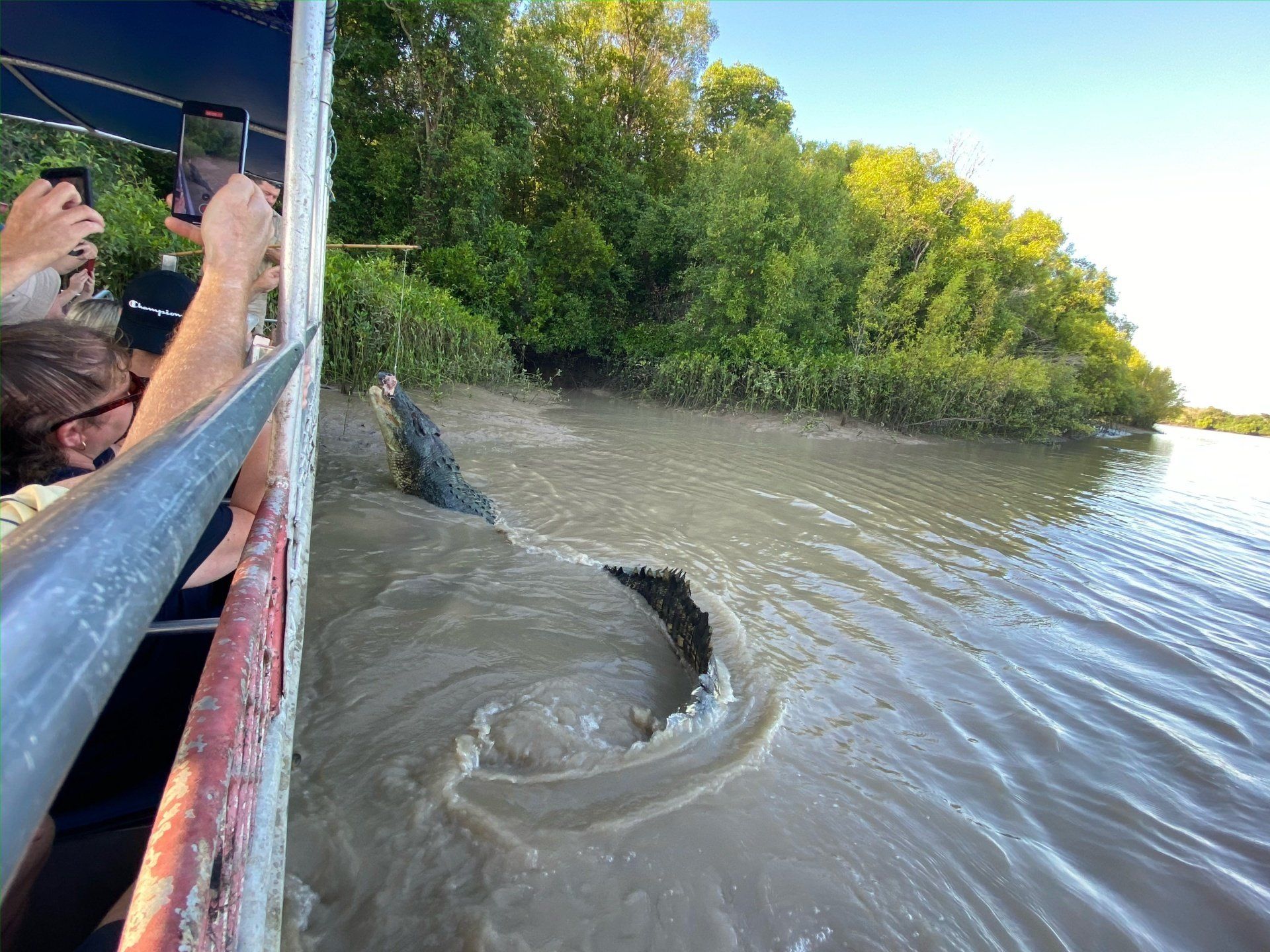 crocodile on the adelaide river