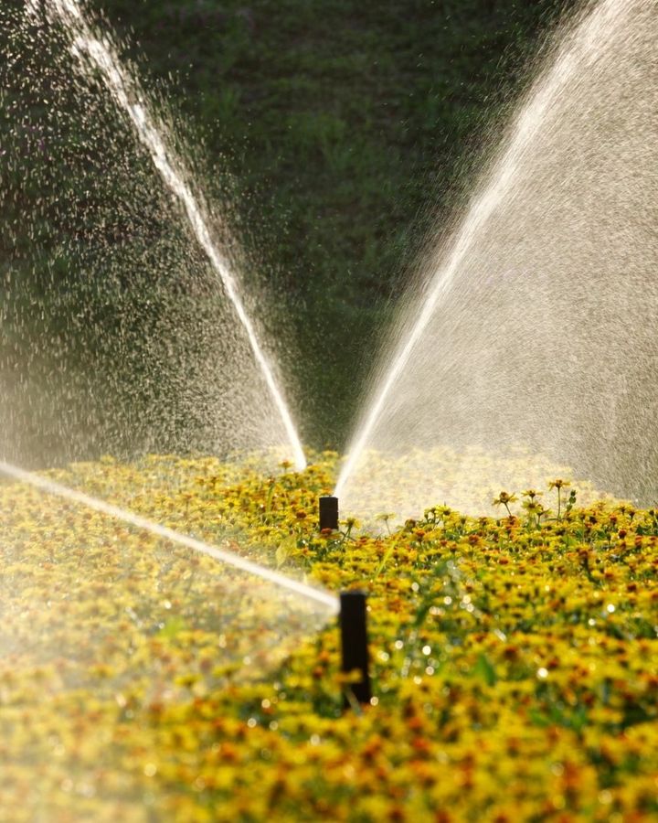 Sprinkler Repair St. Petersburg Tampa FL 7272917182