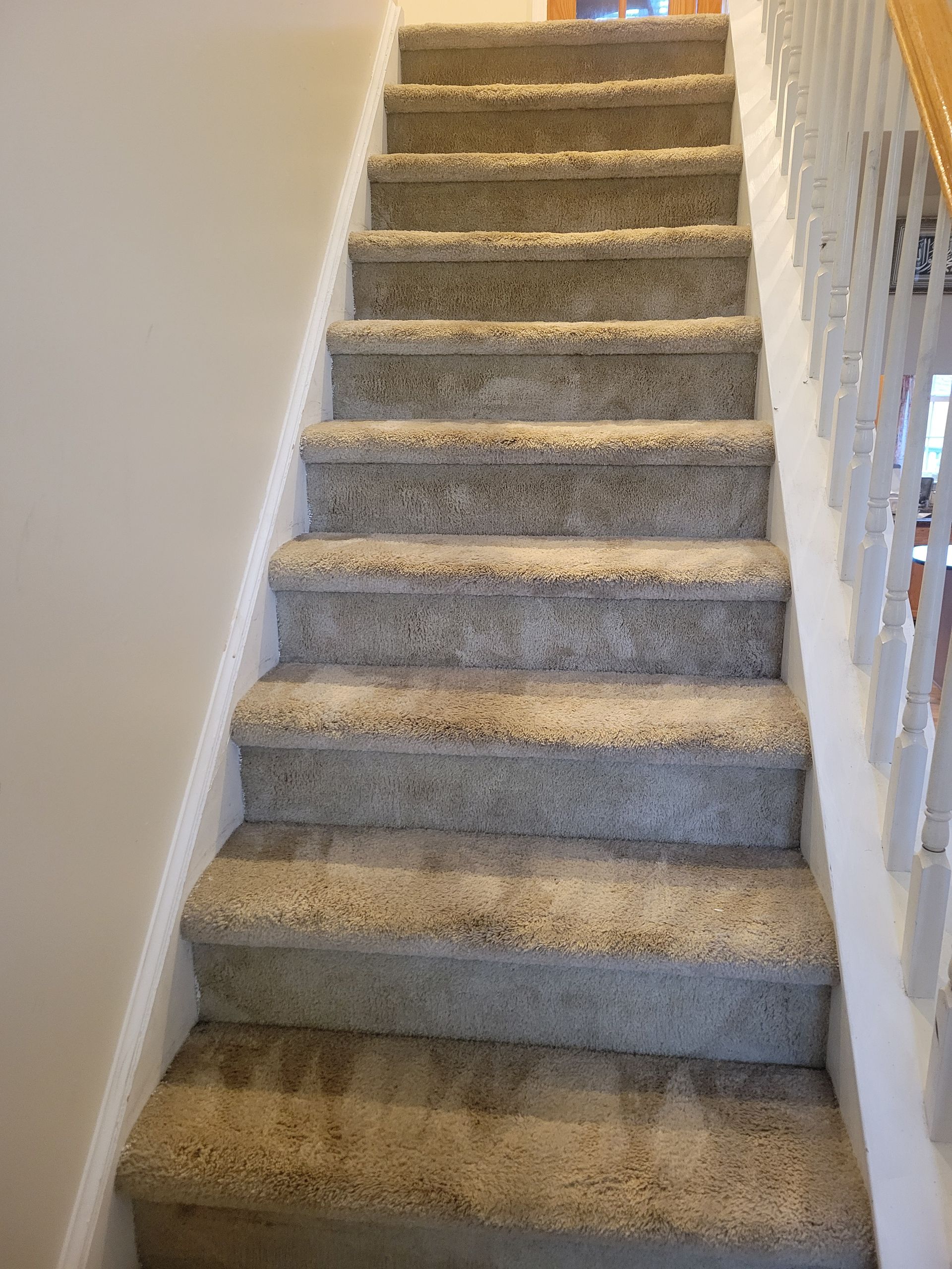 A set of stairs with carpeted steps and a white railing.