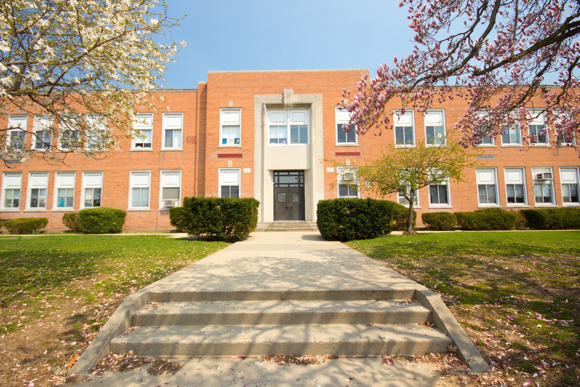 Brick school building with steps leading to the entrance, trees with blooms on either side.