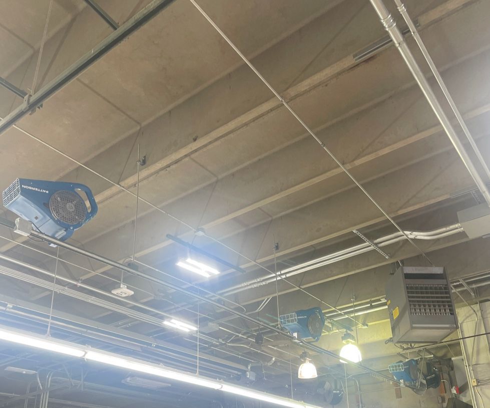 A ceiling with a lot of wires hanging from it.