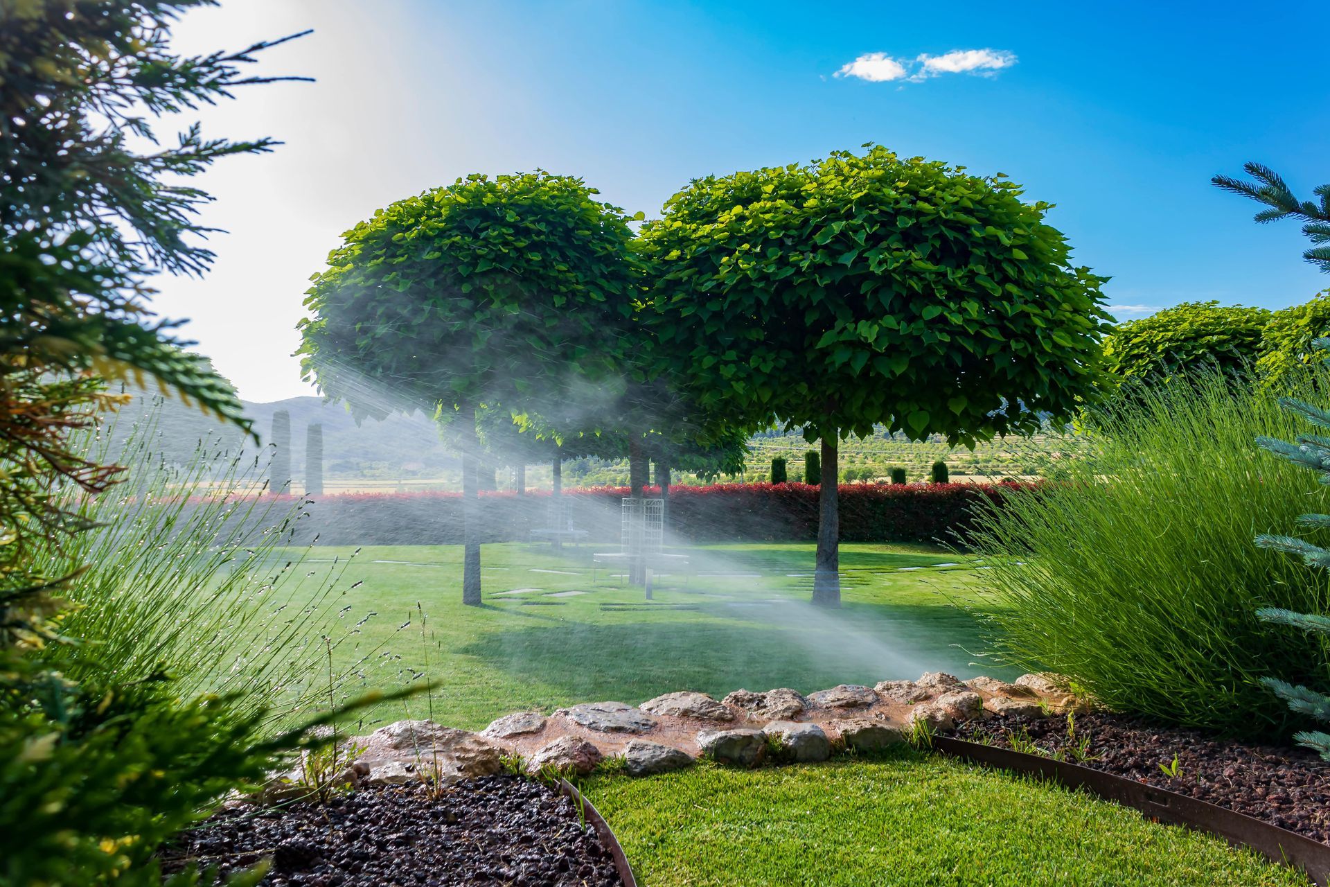 Irrigation system in a garden in Cape Coral