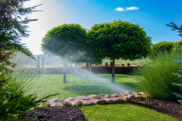 lawn sprinklers in a garden in Lehigh Acres FL
