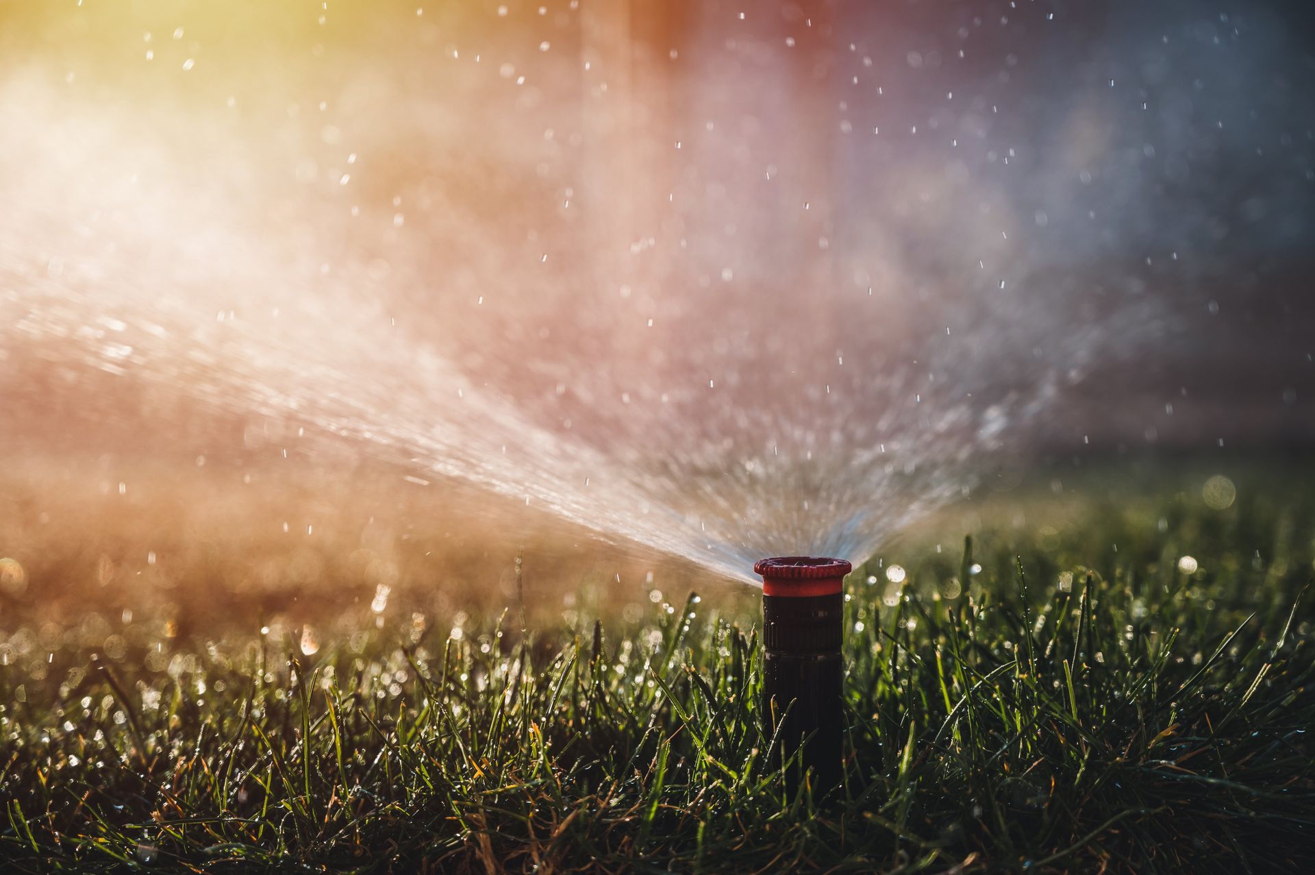 lawn sprinkler in Fort Myers FL watering green grass