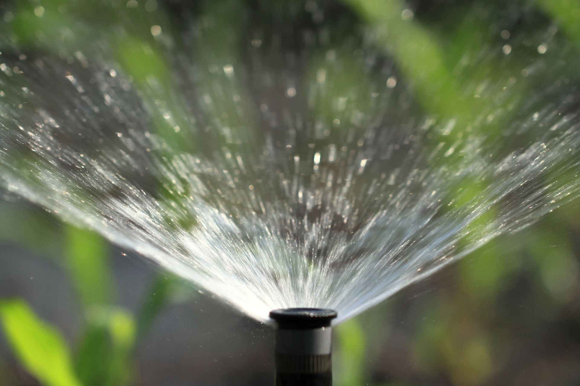 Close up image Lawn Sprinkler Lehigh Acres FL