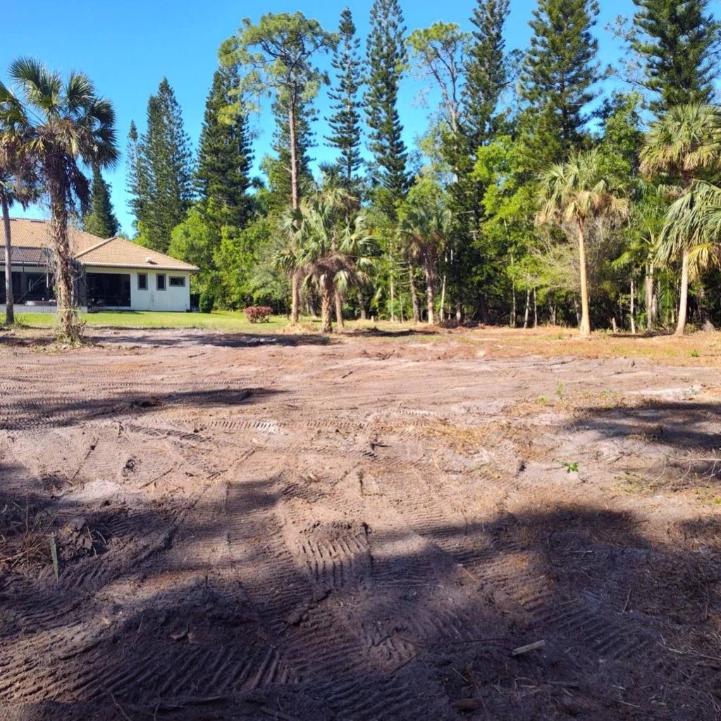 Stump grinding in Lehigh Acres FL for flat lot surface.
