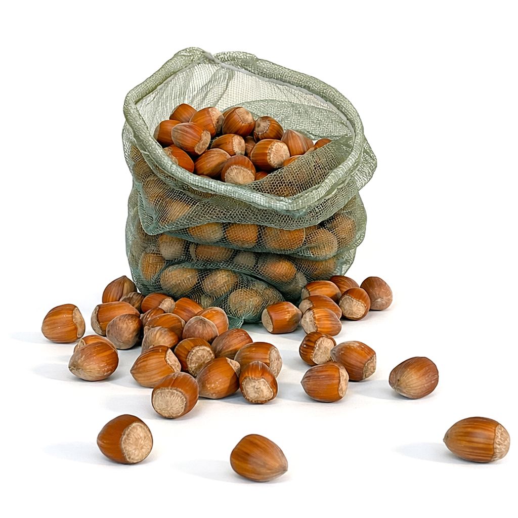 Hazelnoten 750g.