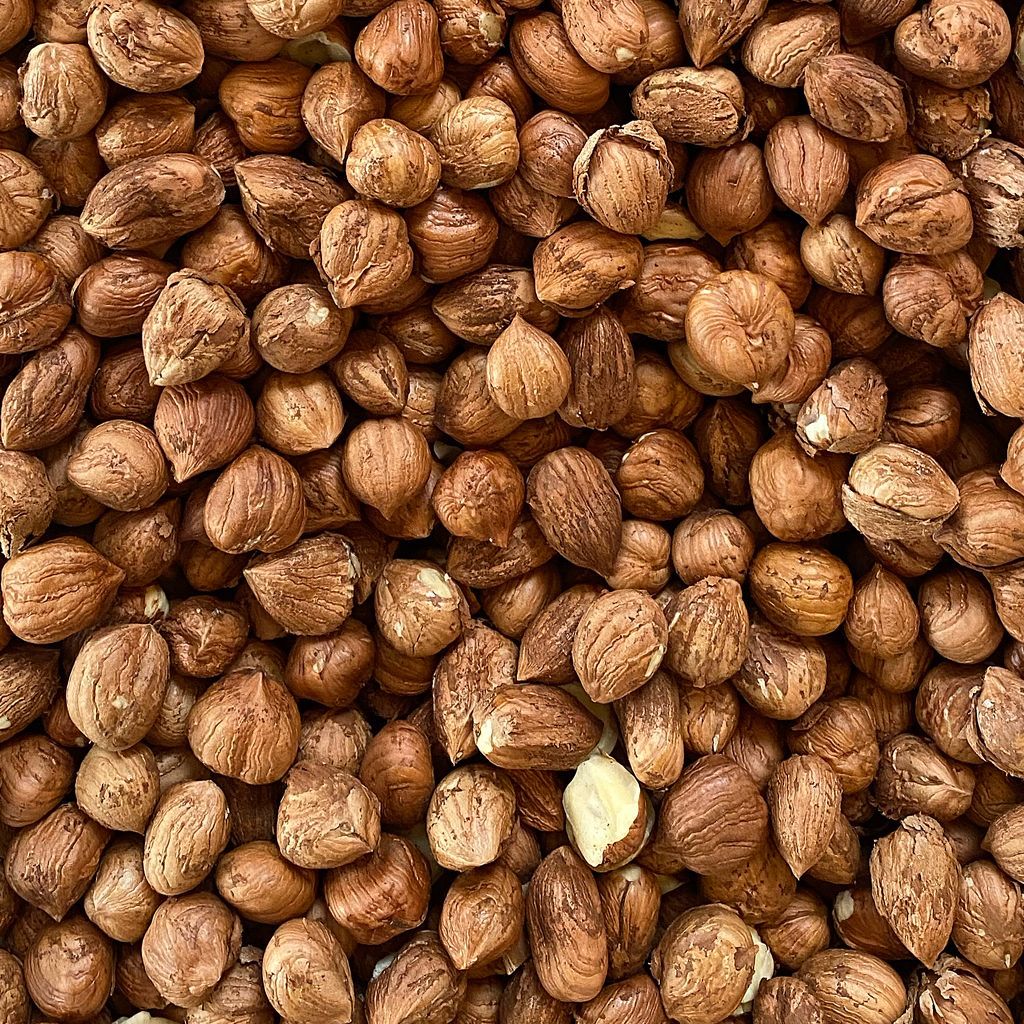 Rauwe hazelnoten 500g.