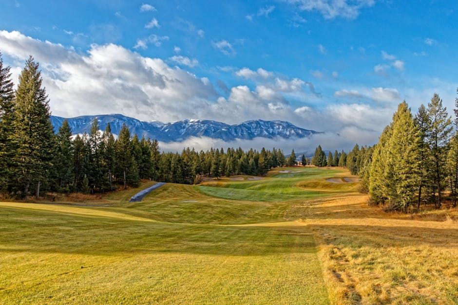 Golf course green with sand bunkers, lush grass, and trees under a clear sky