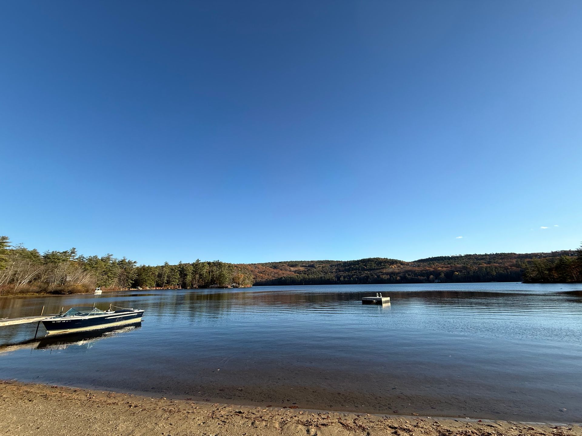A wooden path in the middle of a forest.