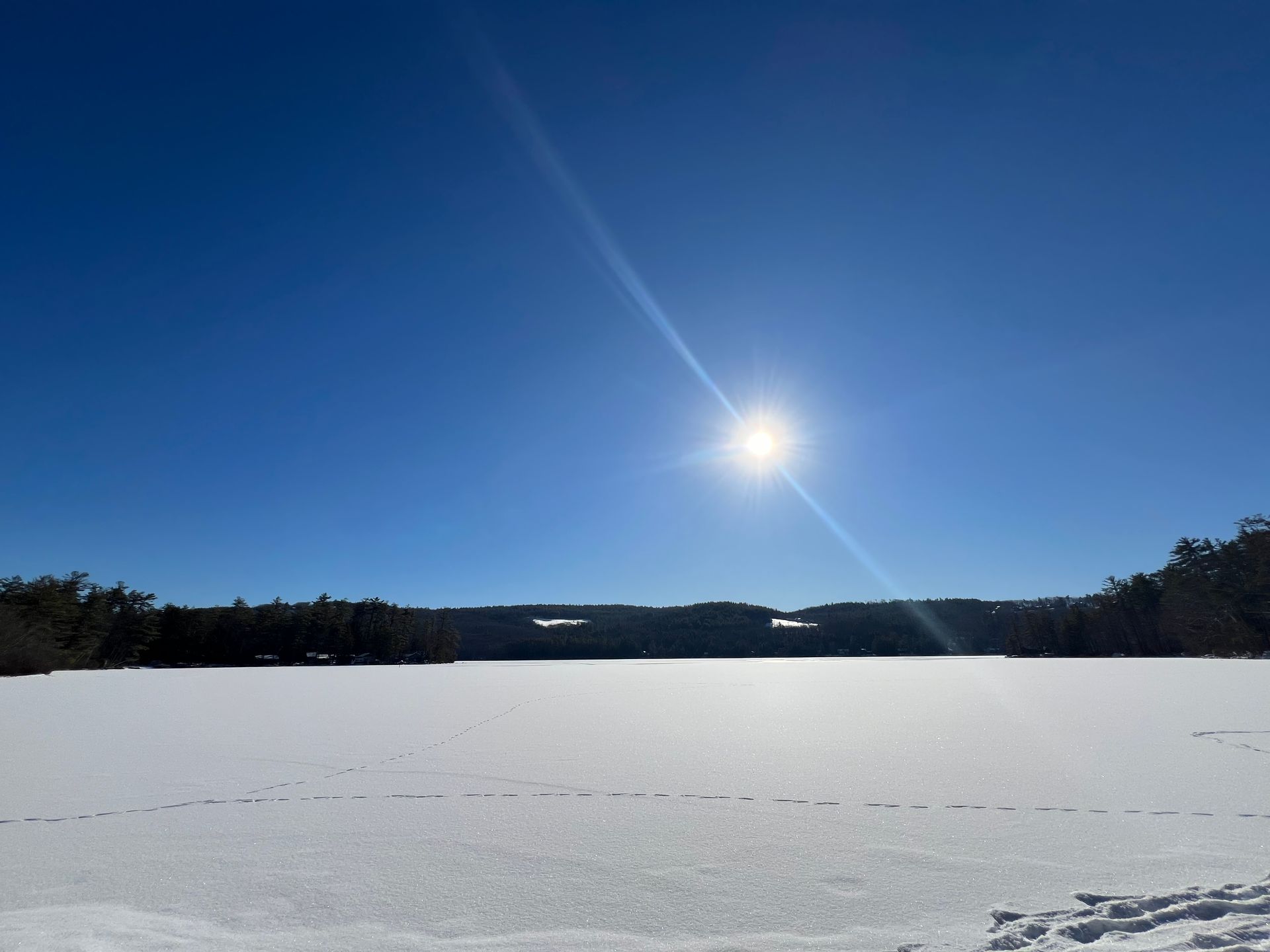 The sun is shining brightly over a snowy field