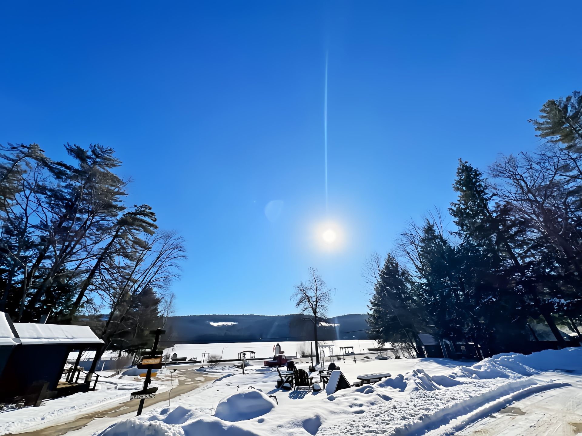 The sun is shining through the trees in the snow