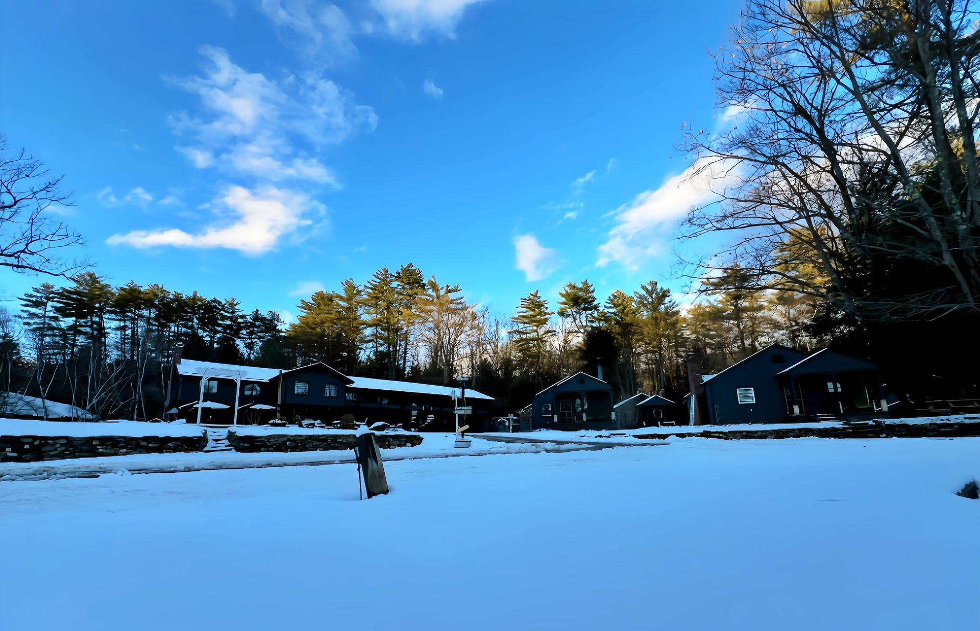 A snowy field with houses and trees in the background