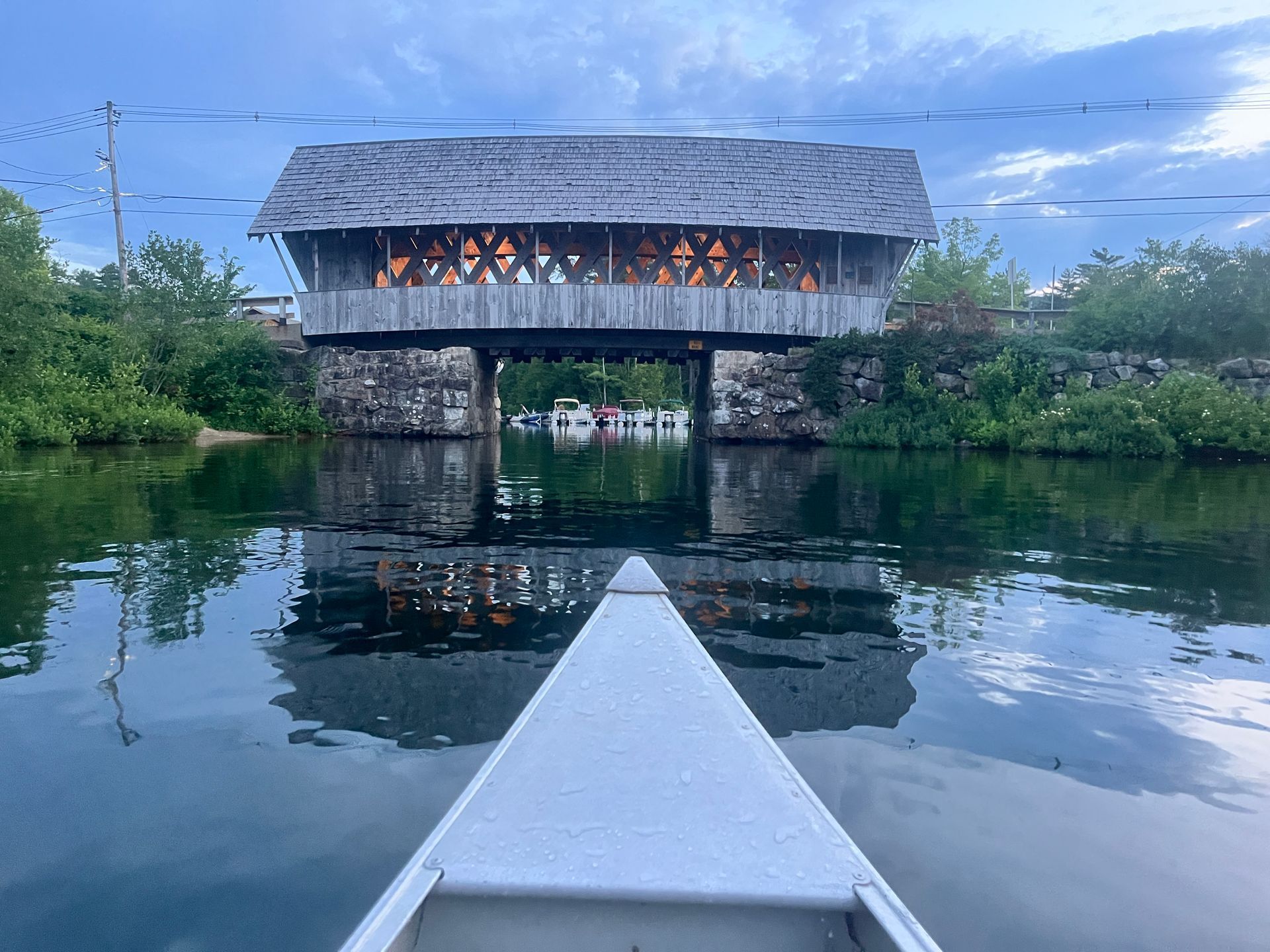 A group of chairs are sitting in a yard next to a lake.