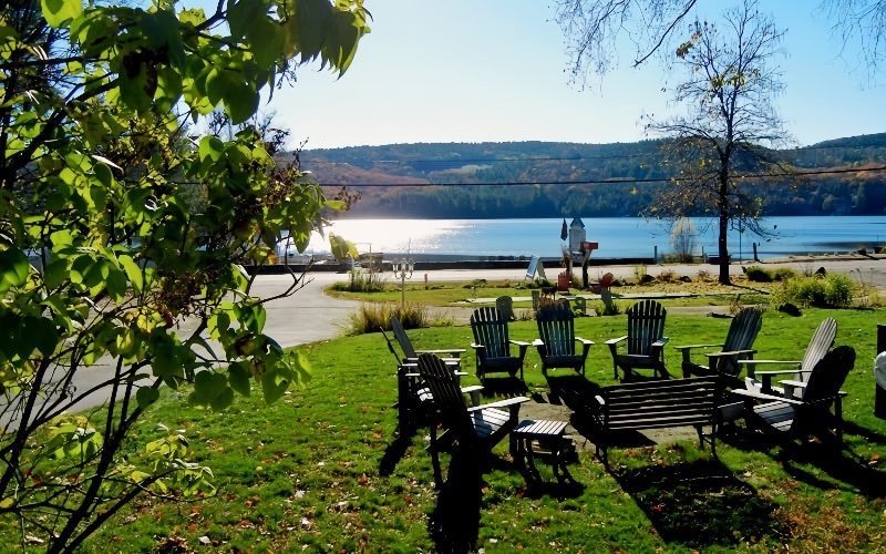 A row of chairs are sitting on a lush green lawn next to a lake.