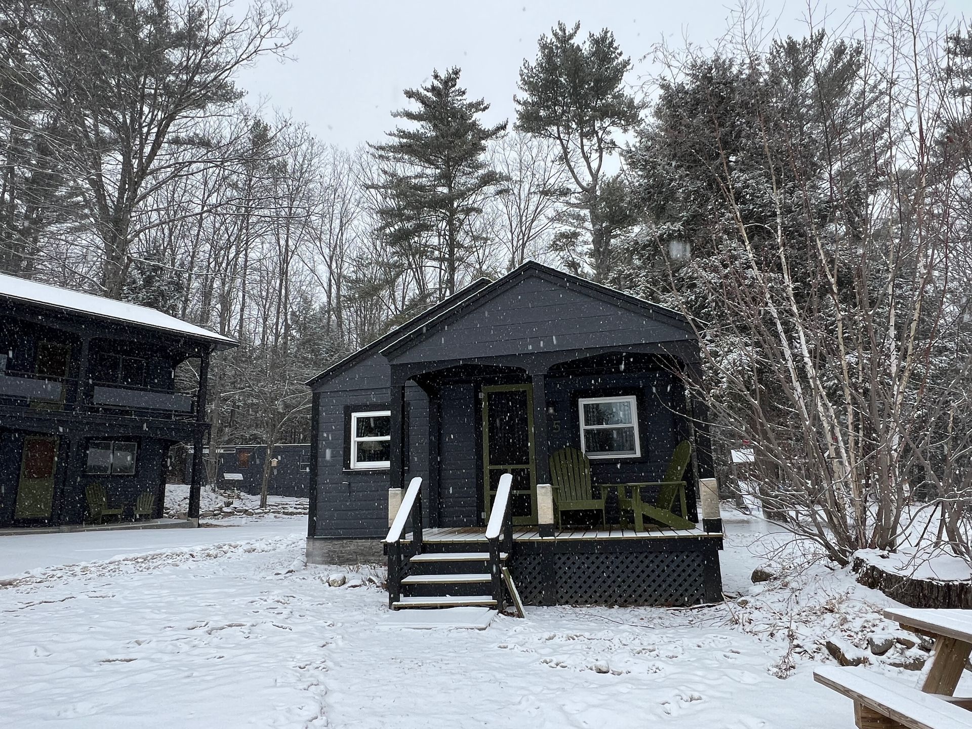 A small black house is surrounded by snow and trees.