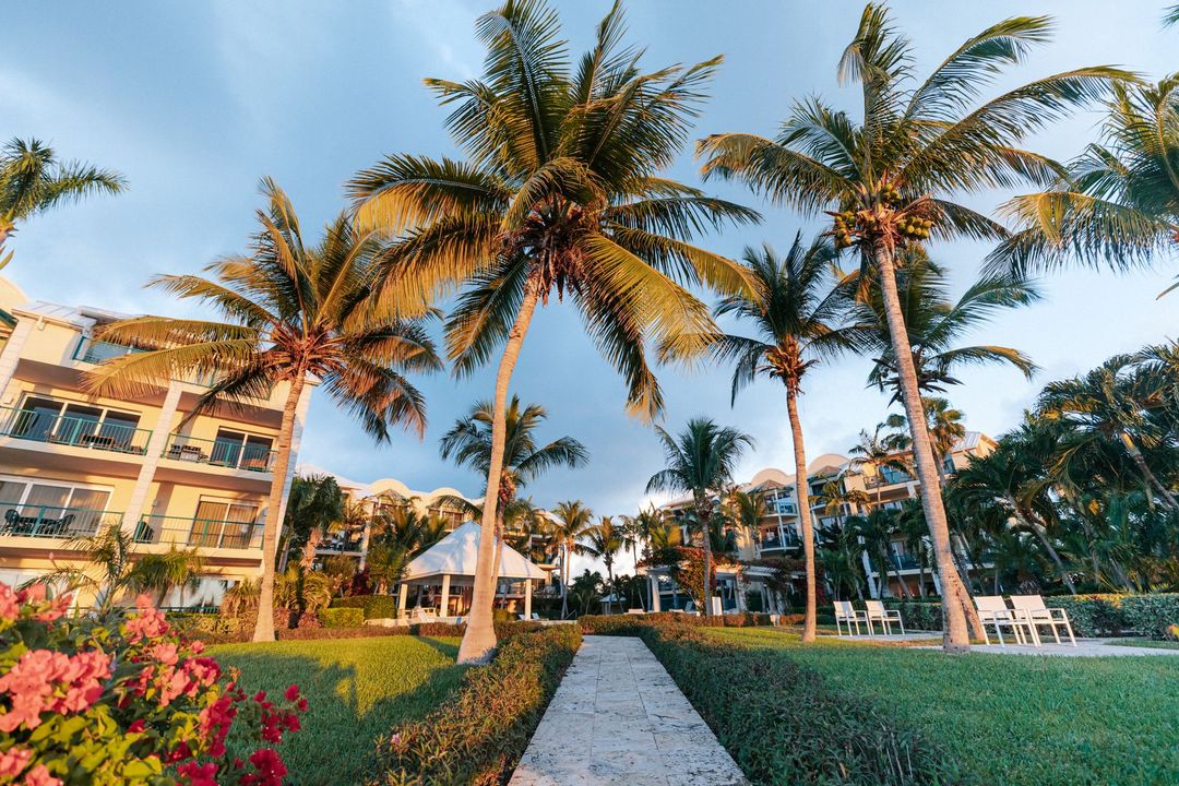 A path leading to a building surrounded by palm trees