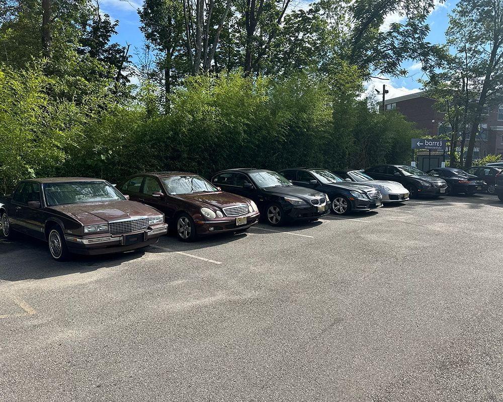 A row of parked cars of various colors in a paved lot, with trees in the background.