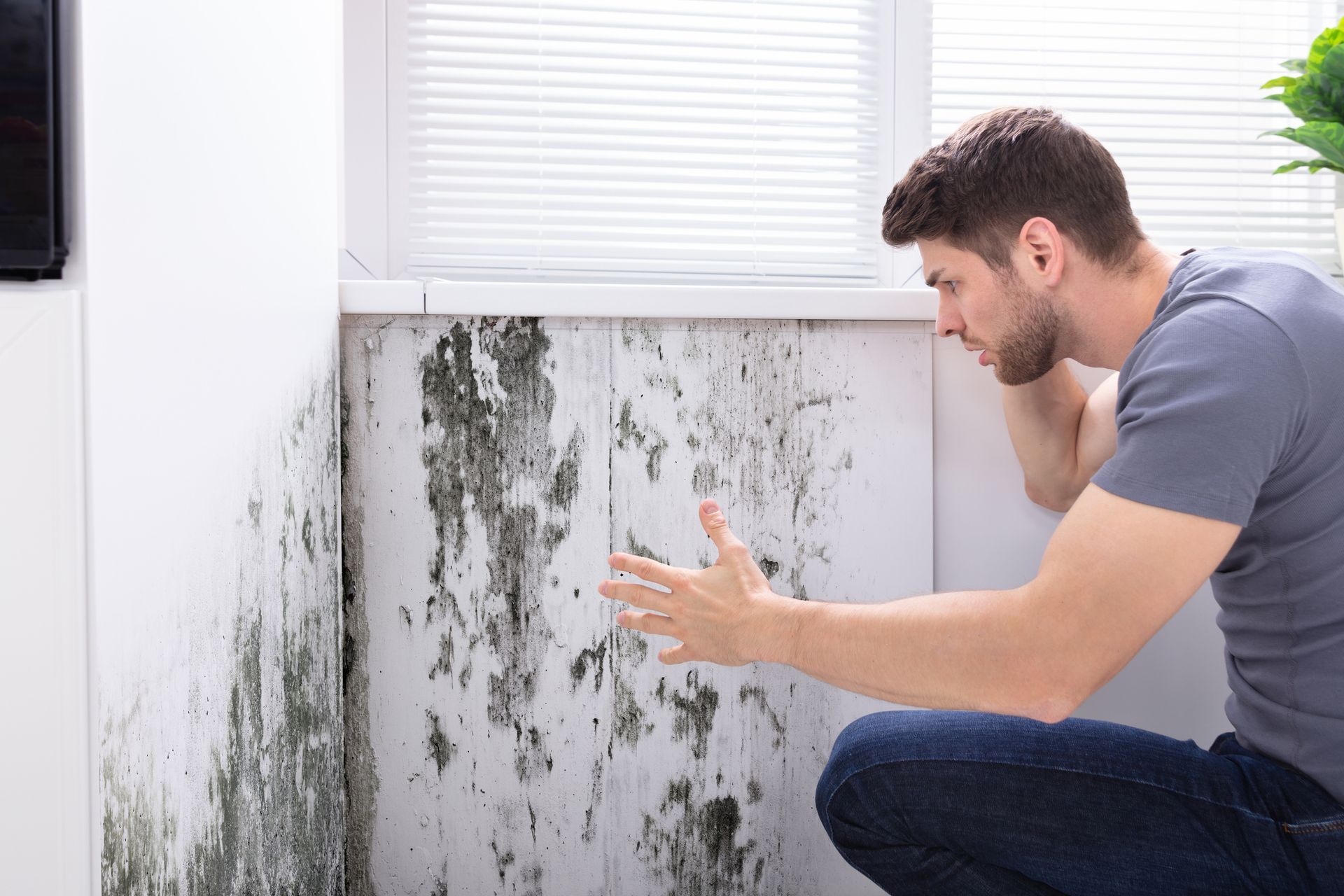 A man noticed mold on the wall and is calling for residential mold testing to address the issue.