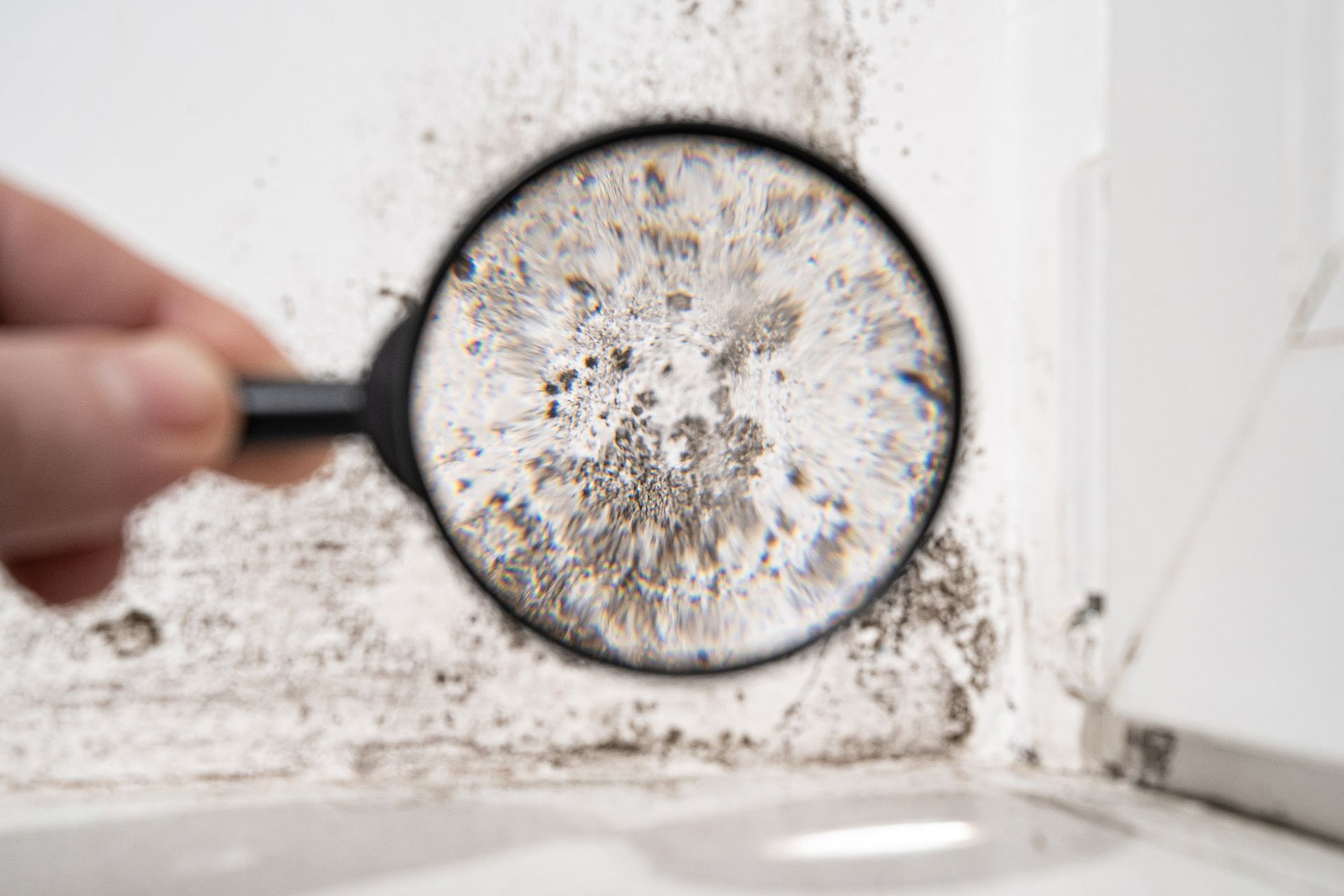 A person is holding a magnifying glass over a mouldy wall.