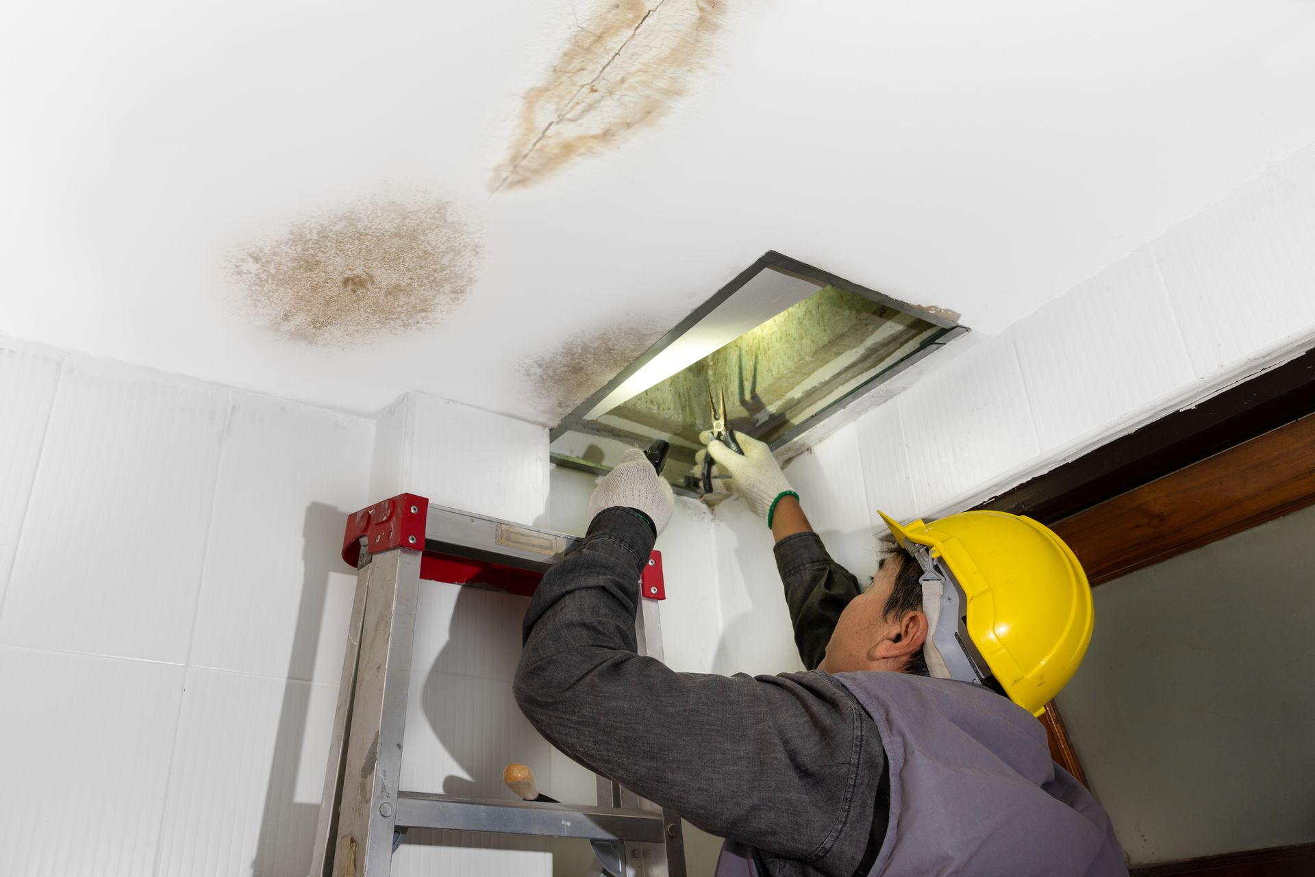 A man is working on a ceiling with a ladder.