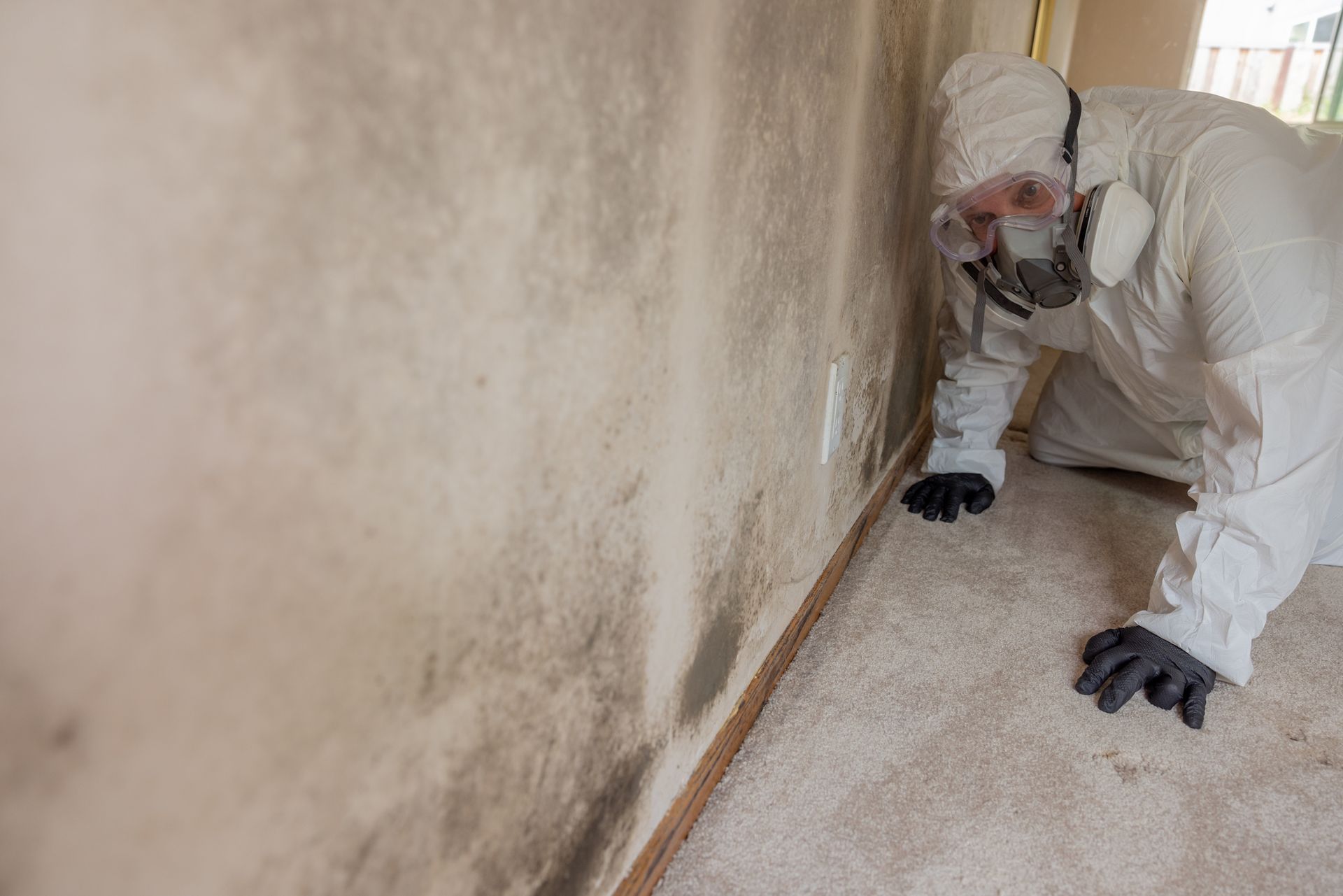 Professional conducting mold inspection on damp wall.