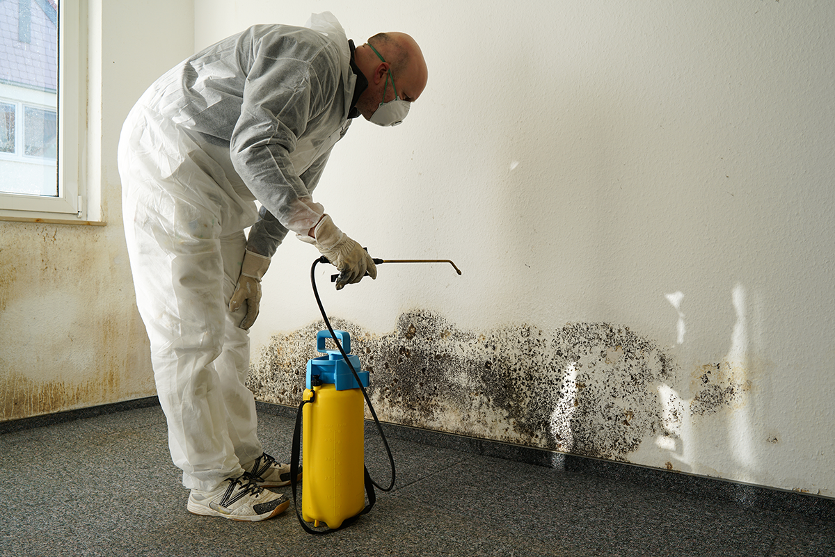 Worker wearing protective suit and respirator mask, performing residential mold removal services.