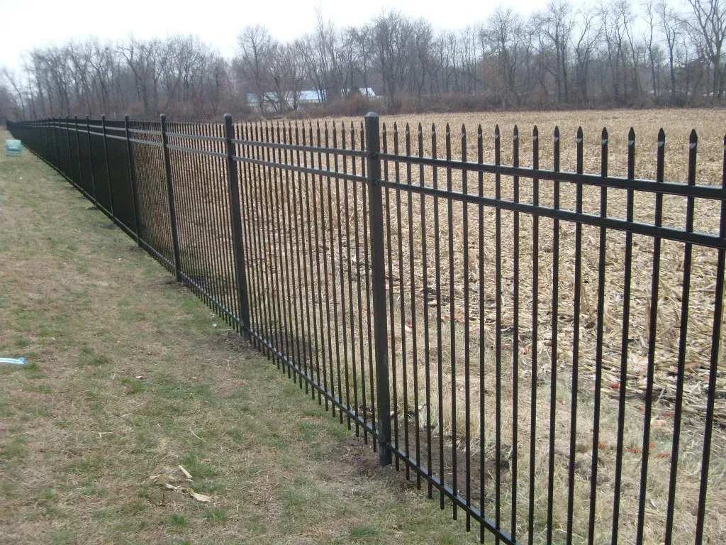 Montage Classic Style