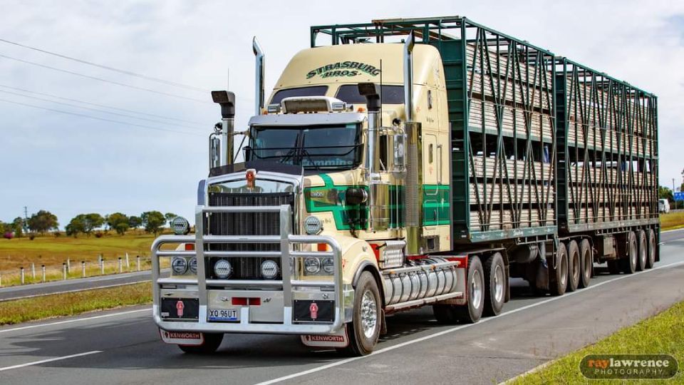 carrier truck front view