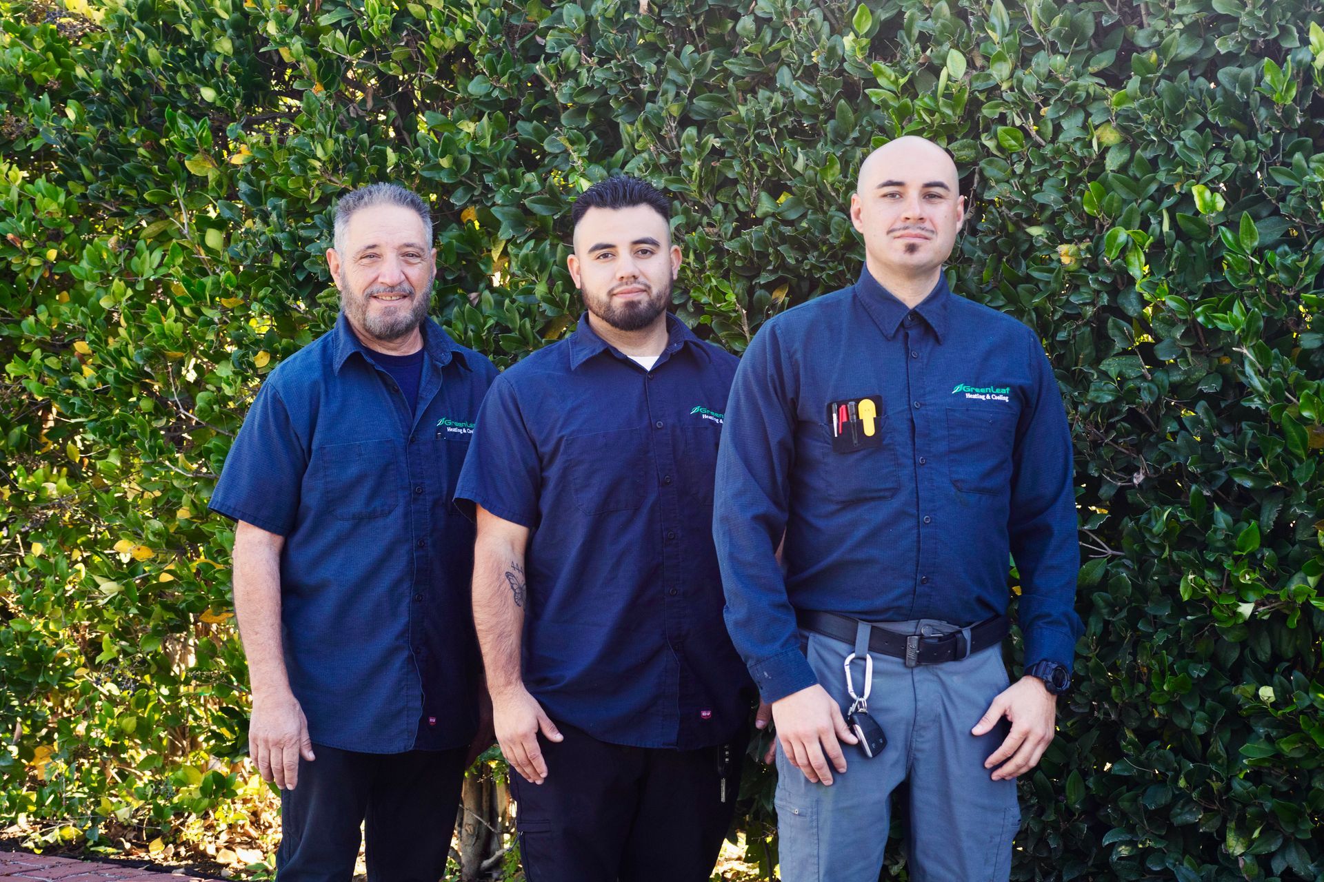 Three men are posing for a picture in front of a tree.