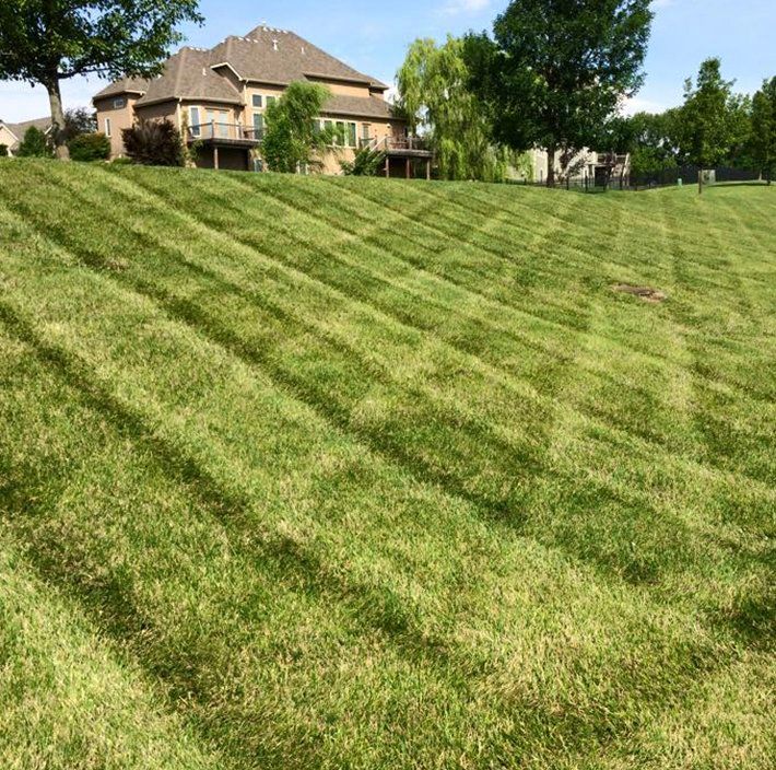 Lawn mowed in a striped pattern on a sloped yard in front of a large house with a deck.