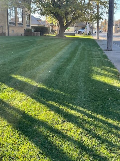 Lawn with mowing stripes, sunlight casting long shadows. Tree and building in the background.