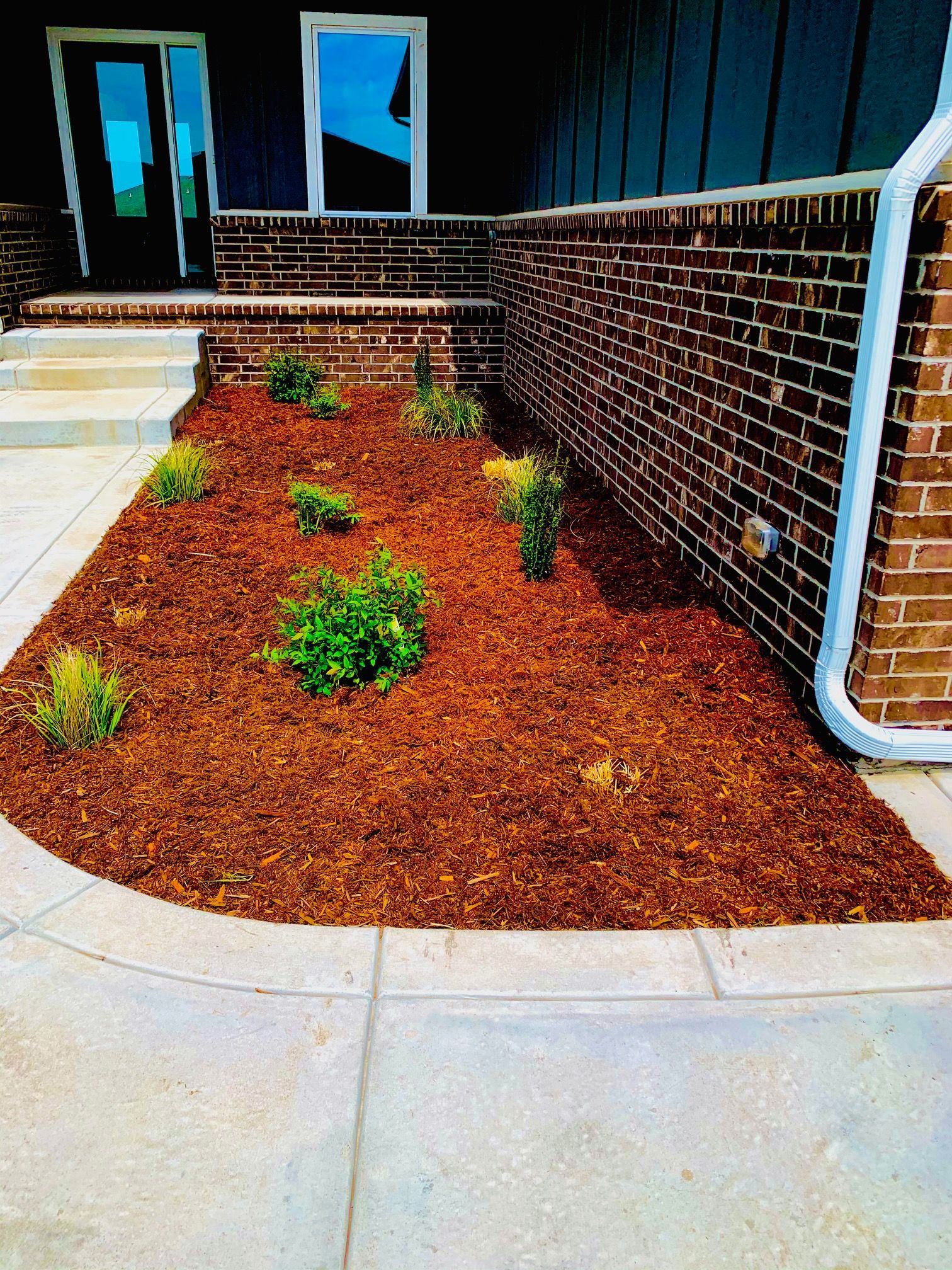 Flower bed with reddish-brown mulch and small green plants next to brick wall and concrete walkway.