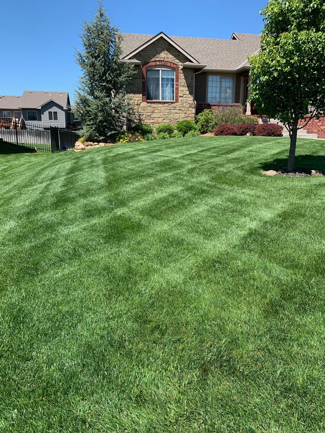 Lawn mowed with stripes, in front of a house with stone and brown siding. Clear blue sky.